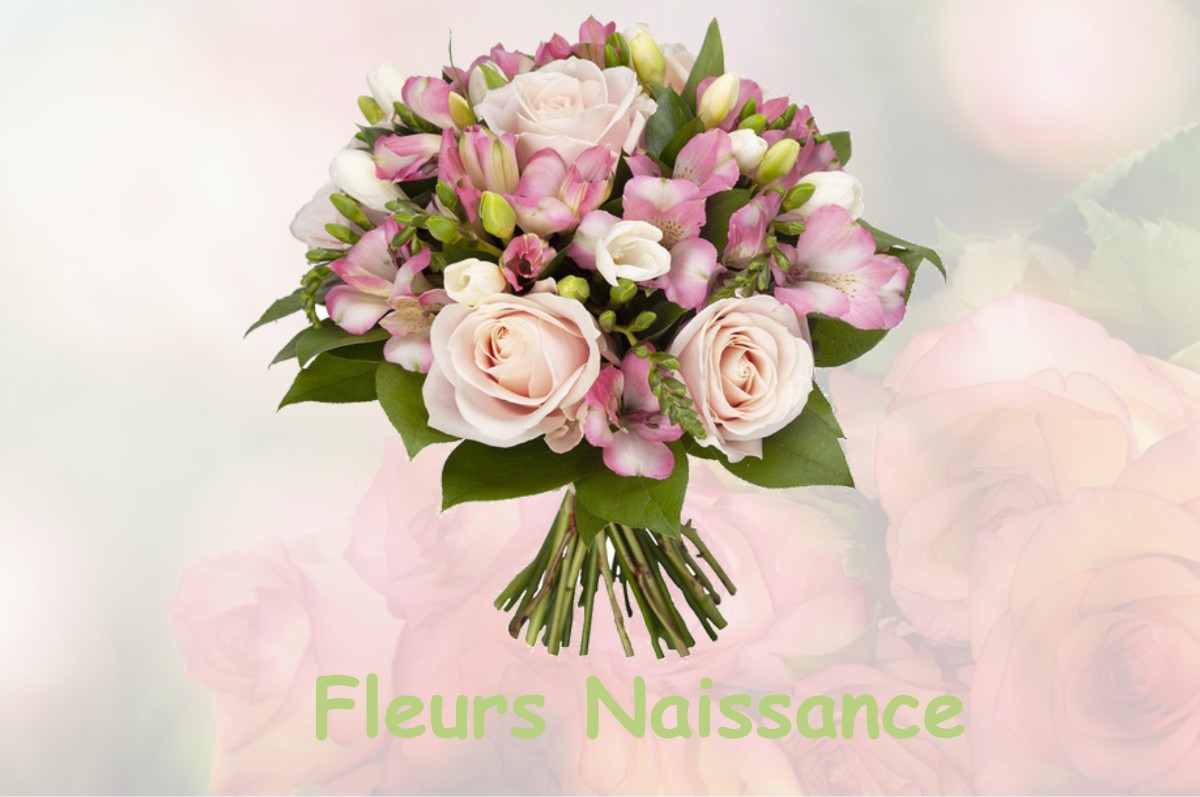 fleurs naissance LE-PLESSIS-GASSOT