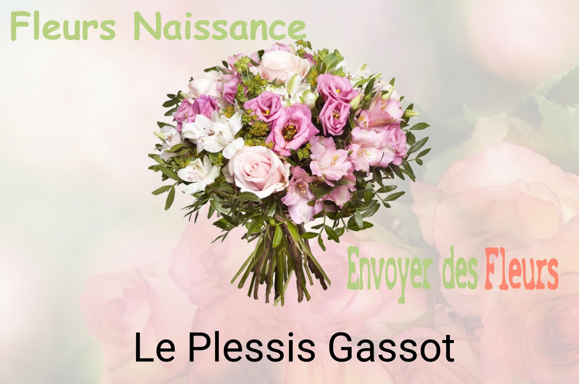 Bouquet de fleurs de naissance livré à Le Plessis-Gassot